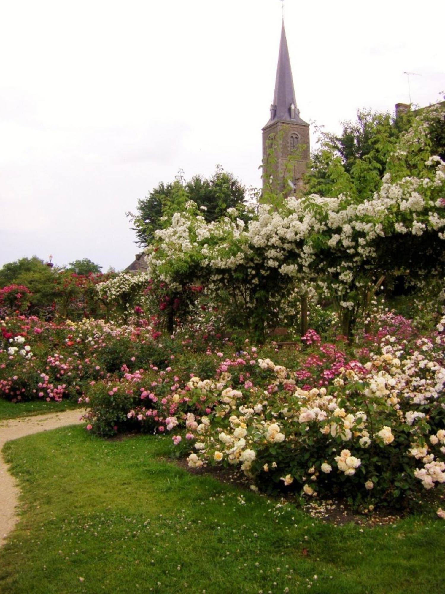 La Cloue Bed and Breakfast Sainte-Marie-du-Bois  Buitenkant foto