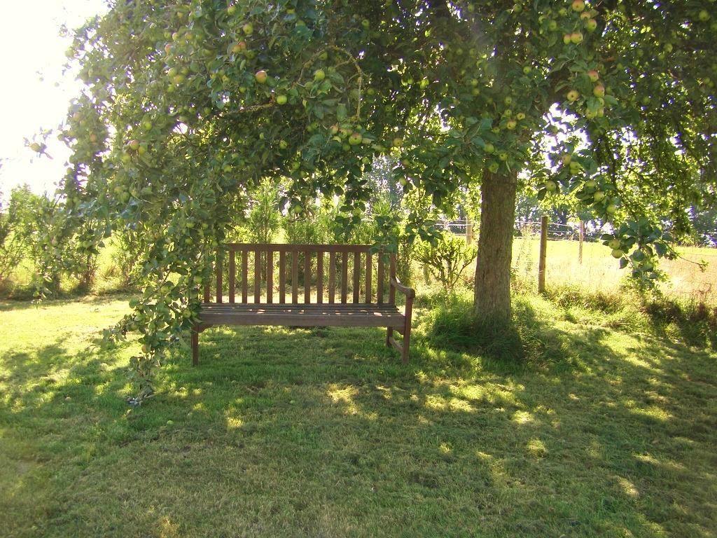 La Cloue Bed and Breakfast Sainte-Marie-du-Bois  Buitenkant foto