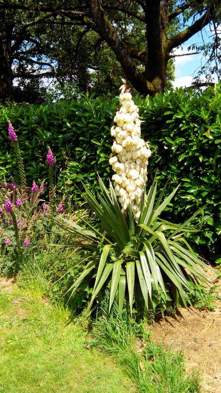 La Cloue Bed and Breakfast Sainte-Marie-du-Bois  Buitenkant foto