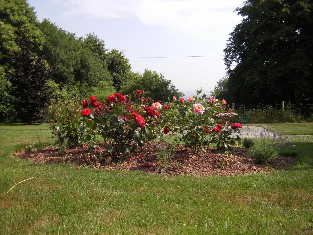 La Cloue Bed and Breakfast Sainte-Marie-du-Bois  Buitenkant foto